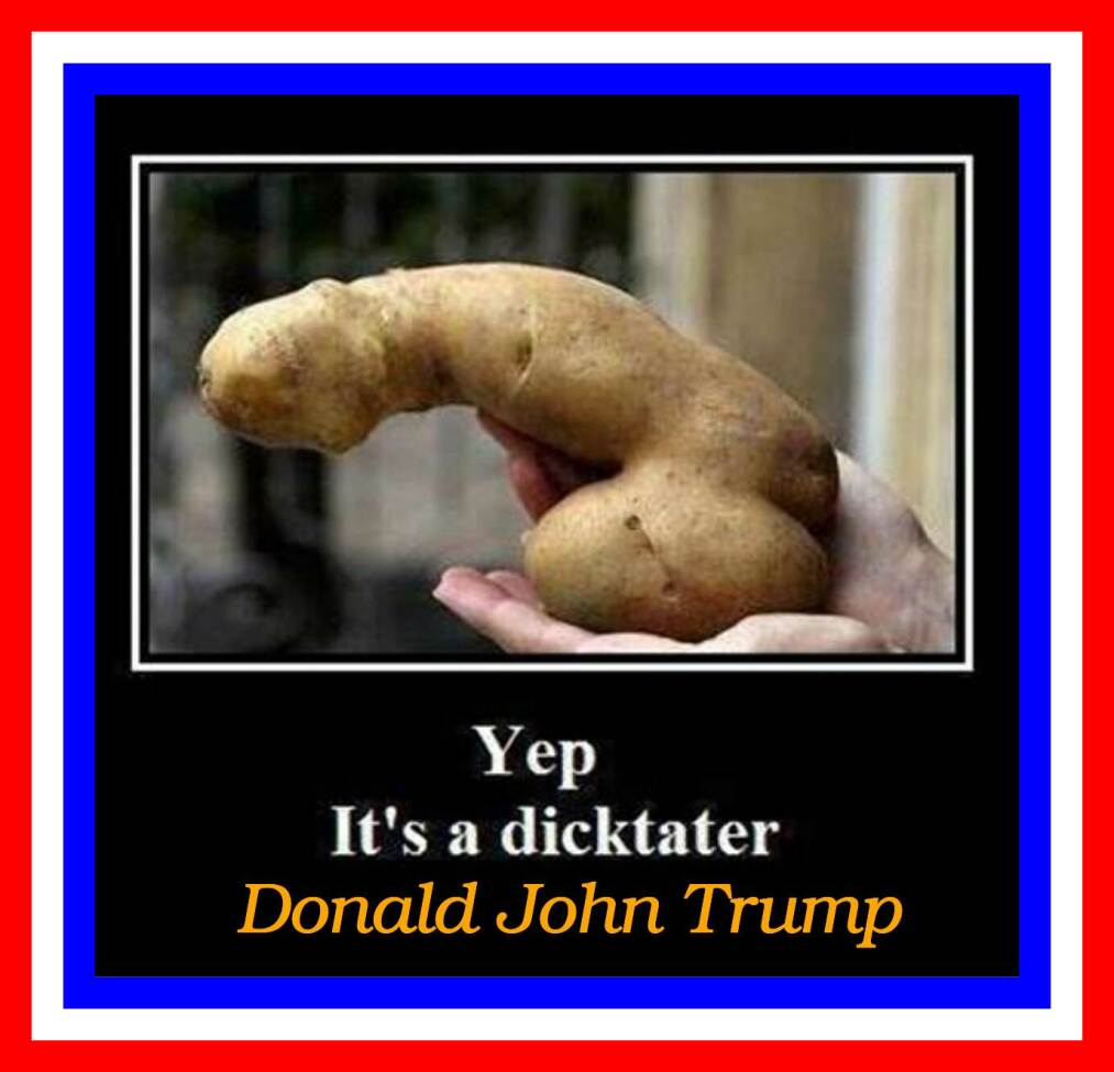 Picture of potato grown in the shape of a male phallus